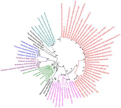 Study of Pyrroloquinoline Quinine From Phosphate-Solubilizing Microbes Responsible for Plant Growth: In silico Approach